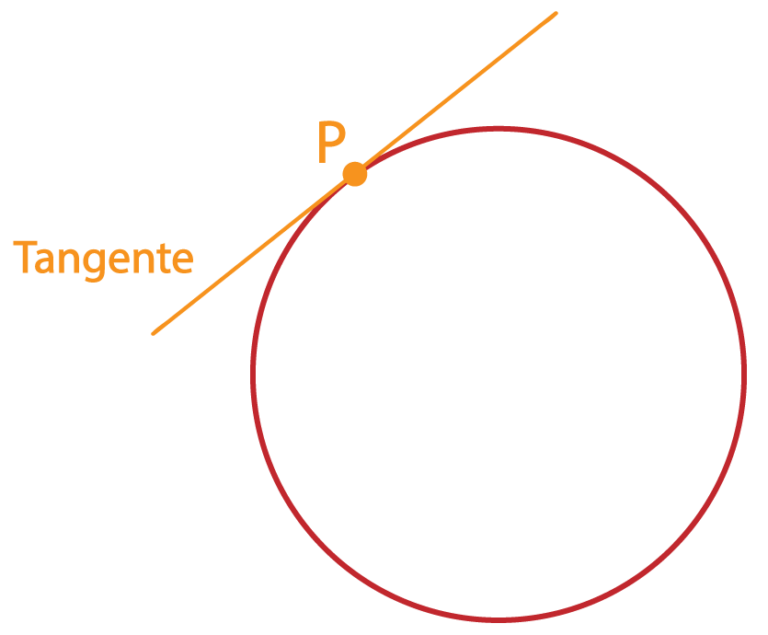 Blog Professor Ferretto