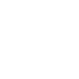 Interpretação de Texto