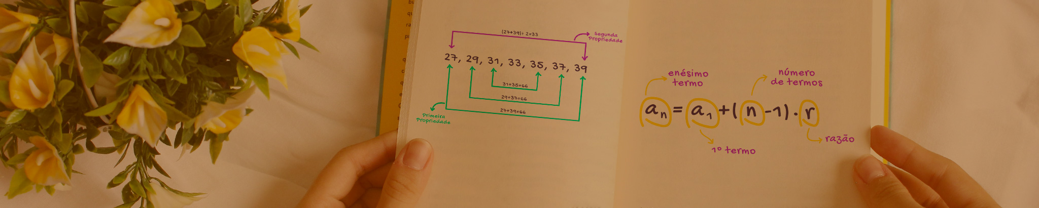 TERMO GERAL DE UMA PROGRESSÃO ARITMÉTICA