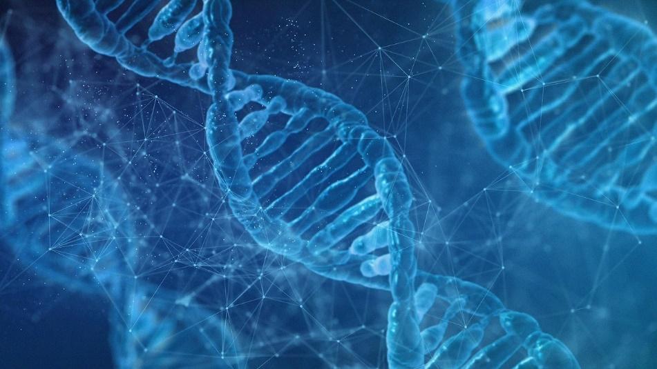 Imagem do DNA - uma molécula polimerizada.