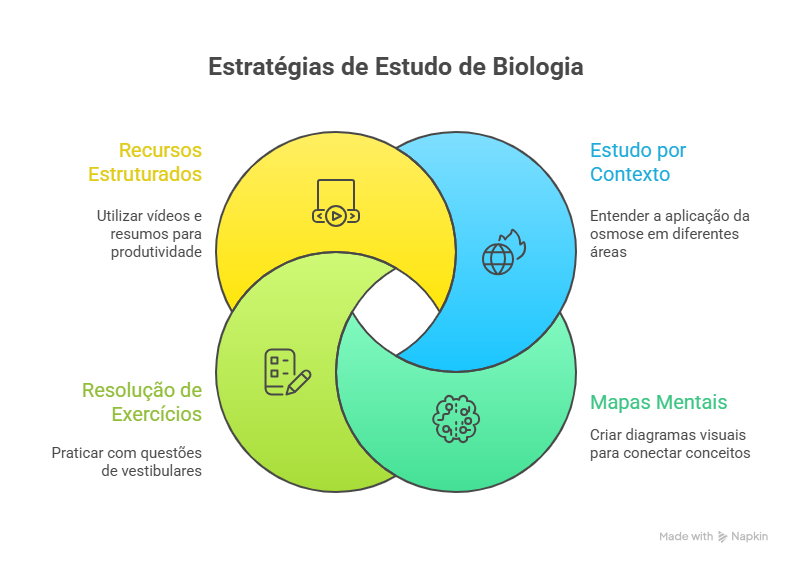 Diagrama O conteúdo gerado por IA pode estar incorreto.