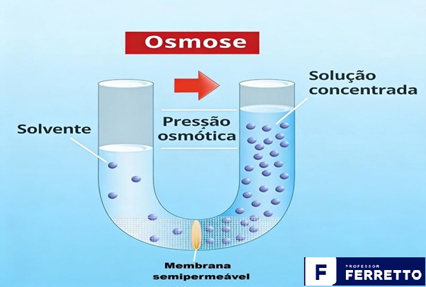Ilustração do processo da osmose
