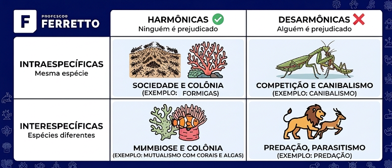 Esquema com os critérios das relações ecológicas: intraespecíficas e interespecíficas, harmônicas e desarmônicas, com exemplos