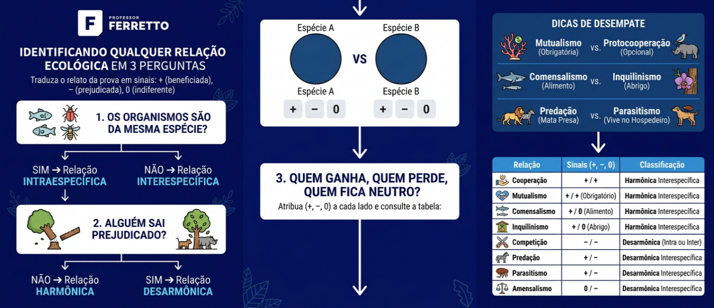 Fluxograma com três perguntas para identificar a relação ecológica: mesma espécie, prejuízo e sinais de benefício